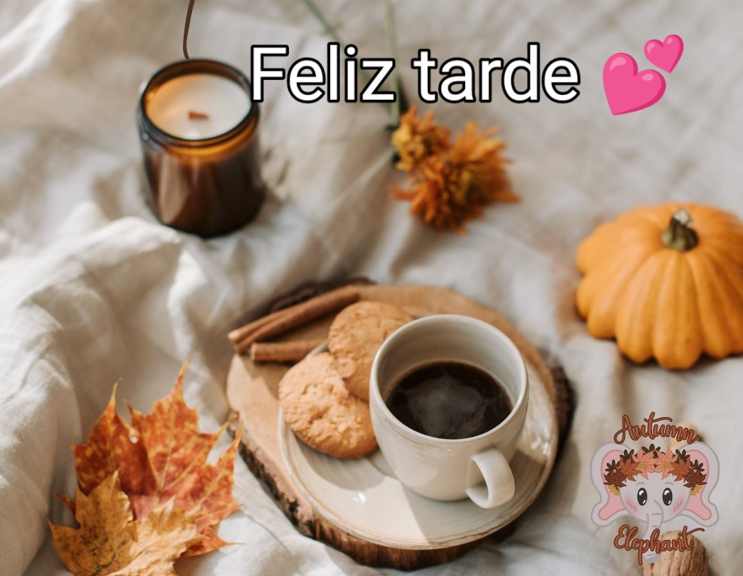ruben_corella's tweet photo. #feliztarde #happyafternoon #buenfinde #felizfinde #findese #goidcoffee #cafecito #GoodVibes #goodtimes #grateful #hereiam #coffeebreak #cafes #salut #salud https://t.co/uHftCCpBIt