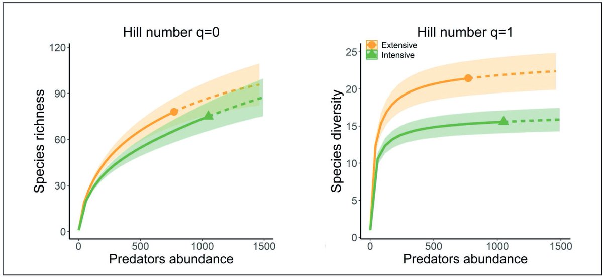 New #AlpSoil_Lab paper out in #SoilOrganisms led by our junior researcher Julia Plunger on how grassland management intensification shifts ground-dwelling #predator communities:
- more frequent species and specimens
- but way lower species diversity

OA at doi.org/10.25674/so94i…