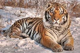 ‘The guy who gets you lost in the woods isn’t the right guy to find your way out.’