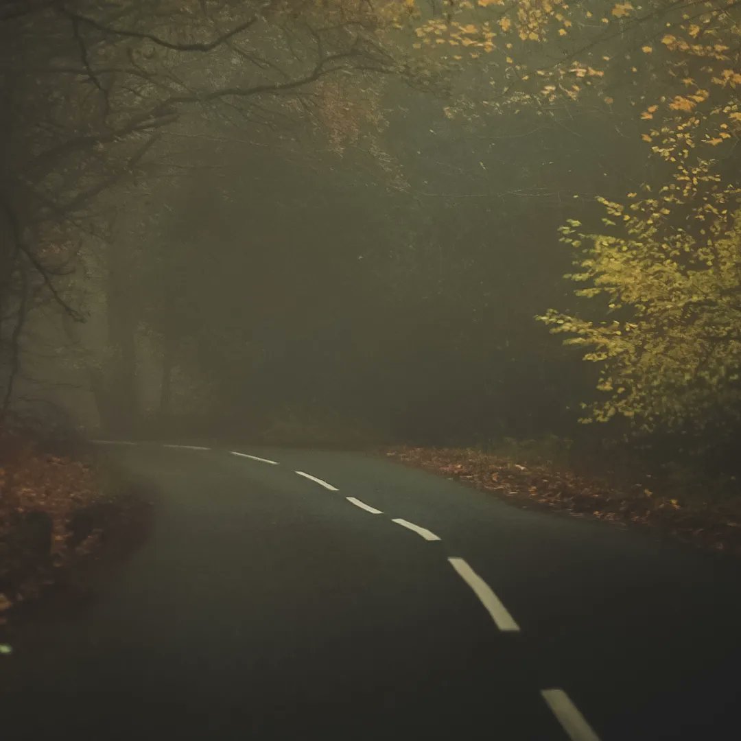 pixel8_visuals's tweet photo. @BraydenCreation My most recent a foggy morning https://t.co/UwANs3MEOE