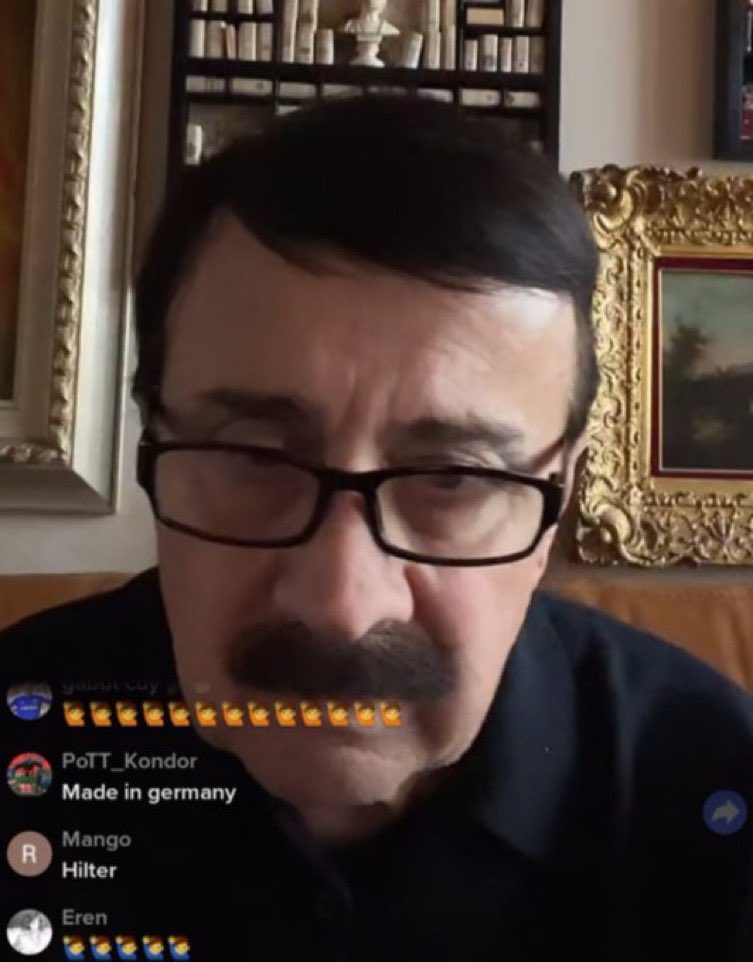 Wild TikToks (@wildtiktokss) on Twitter photo 