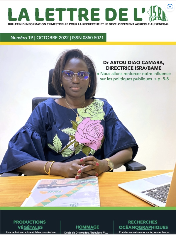 Vous voulez en savoir davantage sur nos interventions?
Lisez cet #entretien de la Directrice de l'@bame_isra, Dr Astou Diao Camara, à la Une du 19e numéro de la 'LETTRE DE L'ISRA'...
isra.sn/2022/11/30/la-…
#politiquespubliques #agriculture #prospectives #SouverainetéAlimentaire