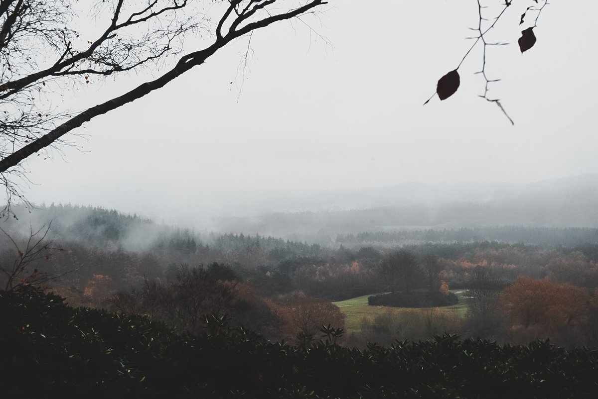 pixel8_visuals's tweet photo. Some recent shot of a very misty/foggy day.

#foggy #misty #photooftheday #photograghy #earlystart #MotherNature https://t.co/QY868piGbN
