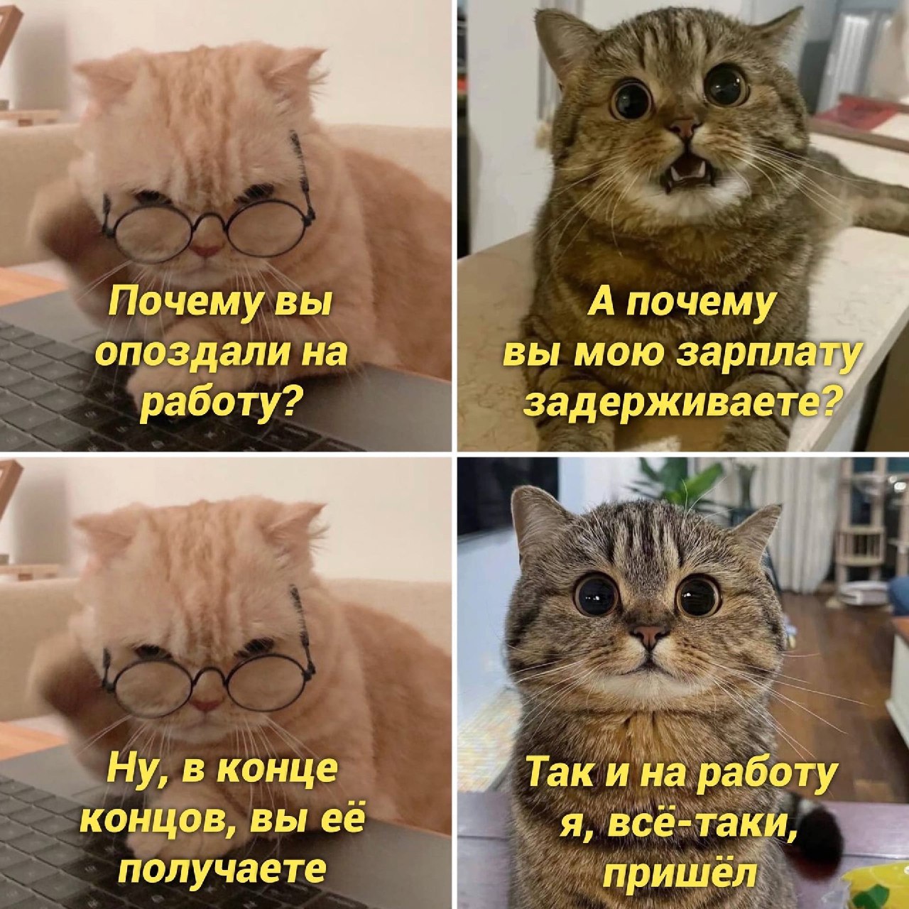 Юрист смешные