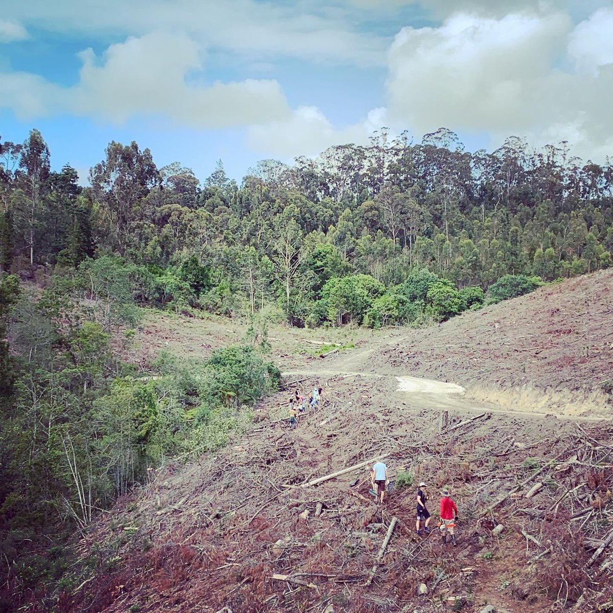 KnysnaGuy (@knysnacycles) on Twitter photo Today was pre season trail maintenance day , together we can achieve so much more 👍 <a href="/visitknysna/">Visit Knysna</a> <a href="/CapeCycleRoutes/">Cape Cycle Routes</a> <a href="/Knys_Guy/">Mark Willemse</a> <a href="/TREAD_Media/">TREAD - Mountain Biking With Soul</a> <a href="/KnysnaToyota/">Knysna Toyota</a> <a href="/ExploreKnysna/">Explore Knysna</a> <a href="/GoSocialSA/">Jacqui Kimmel</a> <a href="/gotravelbug/">Travelbug Rose🐞</a> <a href="/knysnacycletour/">Knysna Cycle Tour</a> <a href="/discoverctwc/">Discover WesternCape</a> <a href="/Wesgro/">Wesgro - Cape Town & the Western Cape</a> #workwithalocal Today was pre season trail maintenance day , together we can achieve so much more 👍 <a href="/visitknysna/">Visit Knysna</a> <a href="/CapeCycleRoutes/">Cape Cycle Routes</a> <a href="/Knys_Guy/">Mark Willemse</a> <a href="/TREAD_Media/">TREAD - Mountain Biking With Soul</a> <a href="/KnysnaToyota/">Knysna Toyota</a> <a href="/ExploreKnysna/">Explore Knysna</a> <a href="/GoSocialSA/">Jacqui Kimmel</a> <a href="/gotravelbug/">Travelbug Rose🐞</a> <a href="/knysnacycletour/">Knysna Cycle Tour</a> <a href="/discoverctwc/">Discover WesternCape</a> <a href="/Wesgro/">Wesgro - Cape Town & the Western Cape</a> #workwithalocal