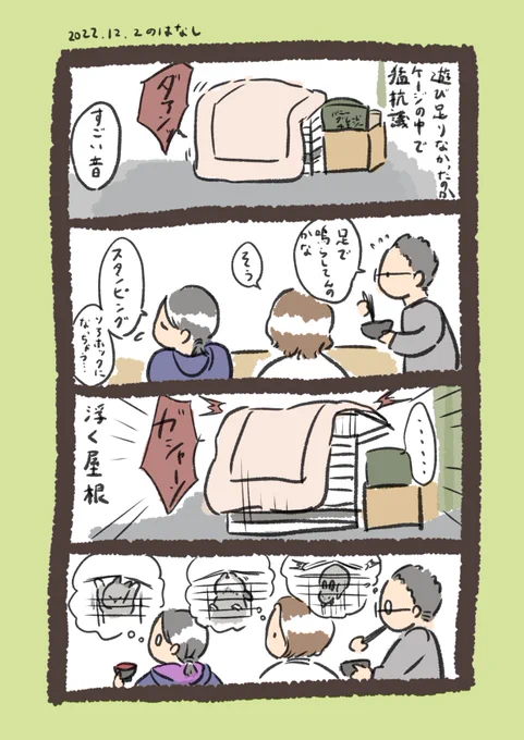 昨日のrabbit…
昨日はすごいはしゃいでました(この後いっぱい遊んだら自分から入ってエラでした👏) 