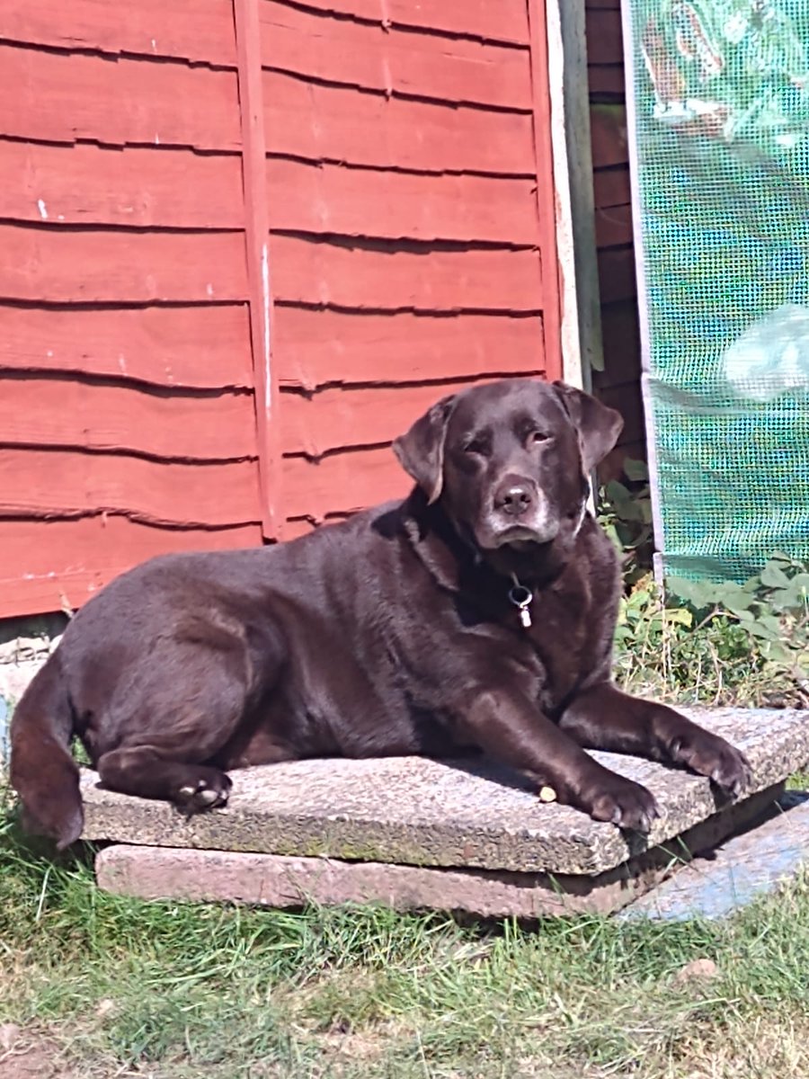 Emma|Be kind tweet media