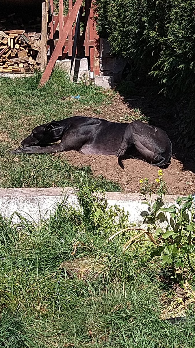 Emma|Be kind tweet media