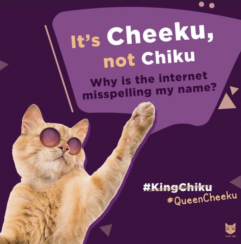 Someone please let <a href="/thevirdas/">Vir Das</a> , <a href="/Bhuvan_Bam/">Bhuvan Bam</a> and the rest know it’s #QueenCheeku 👉🥺👈 

#KingChiku #MakeNoiseForChiku #MomentMarketing #VelvetVibes #FutureOfIndieIndia