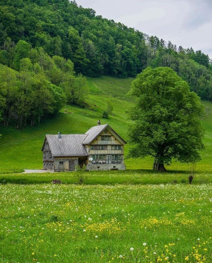 Switzerland 🇨🇭