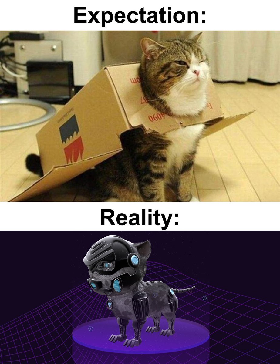 cybercats_news's tweet photo. 😹😹😹

What does everyone think of when they hear about CyberCats for the first time⁉️

#CyberCatsGame" https://t.co/2ie3mzAjho
