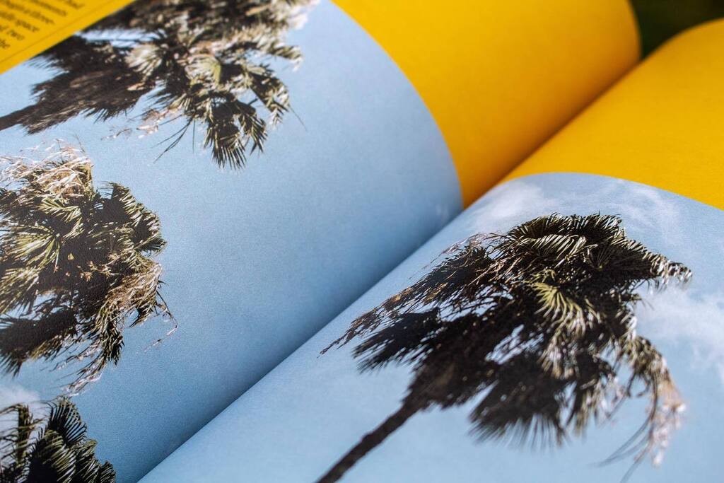 LiberatusDC's tweet photo. Volume Two will be a sequel to Volume One and may or may not feature alien palm trees in South Texas. Advocacy for the displaced requires a spirit of endurance to stay the course. The story continues, because the story of restoration continues, and you can write season two w… https://t.co/Uoy3mn9nks