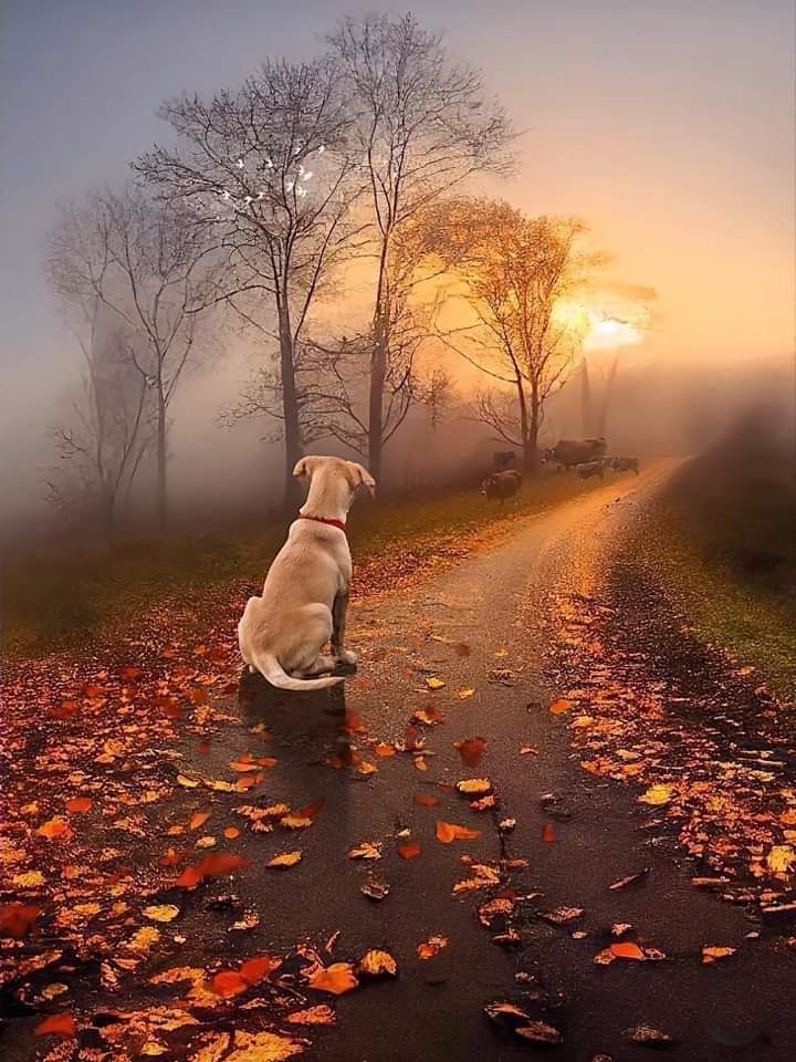 rvmrn42's tweet photo. Good morning everyone https://t.co/5r8mD7DIYj