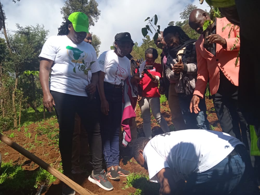 kobiah's tweet photo. @kenya_climate leading a tree planting activity at @merucounty where 11000 trees will be planted as away of combatting climate change. #Sustainability #Trees4future #PACJA #billontrees https://t.co/ixpfAsN4Gd