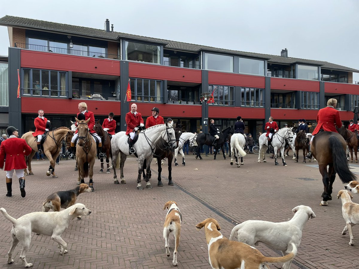 Gerjan Teselink tweet media