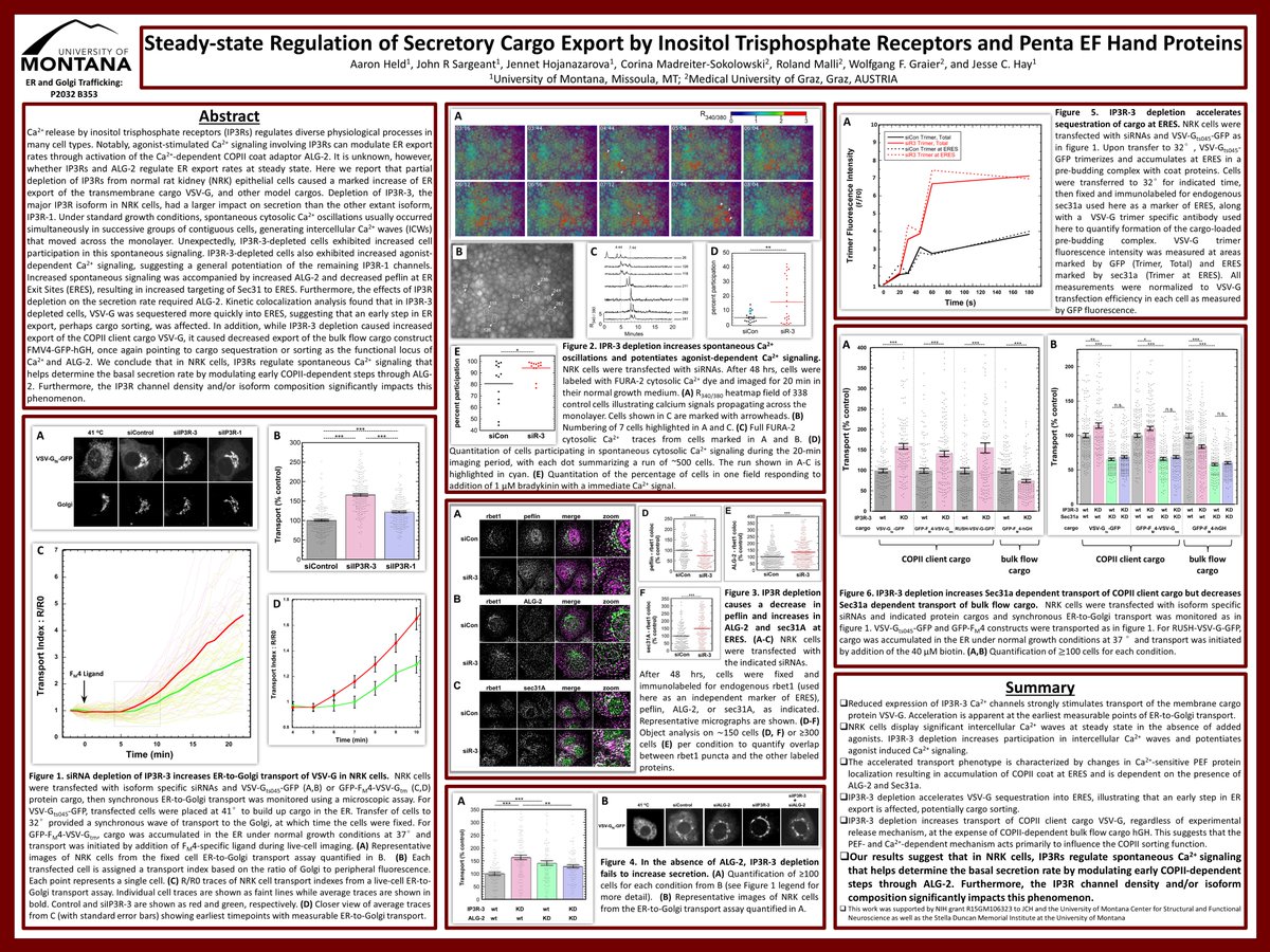 Excited to be back to an in-person format to see some amazing science and present my work at #ASCB2022 in DC!