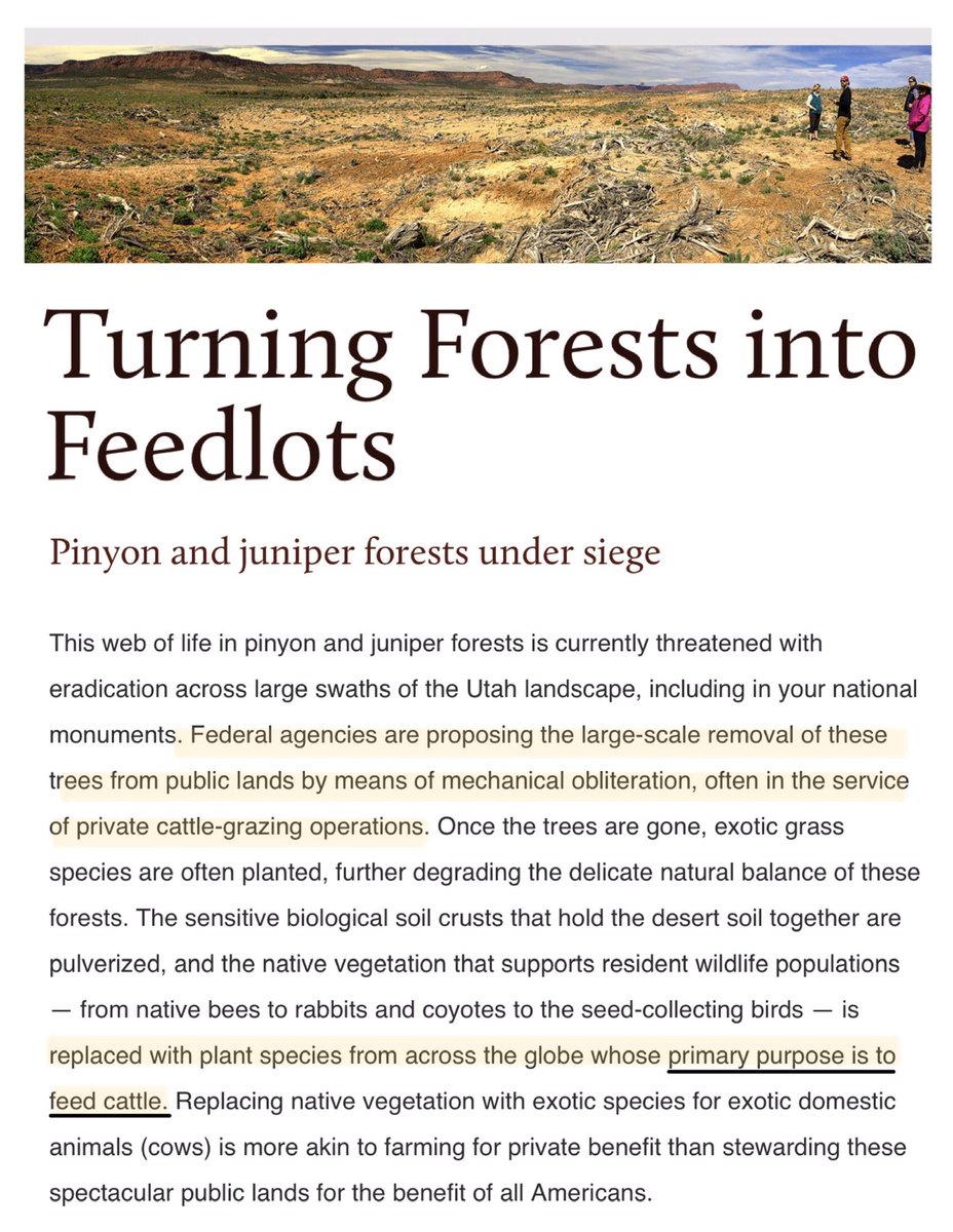 Blue Equus 💫🌎🌲🐾 🐝🐴🌱😷🇺🇦🌻🇵🇸 tweet media