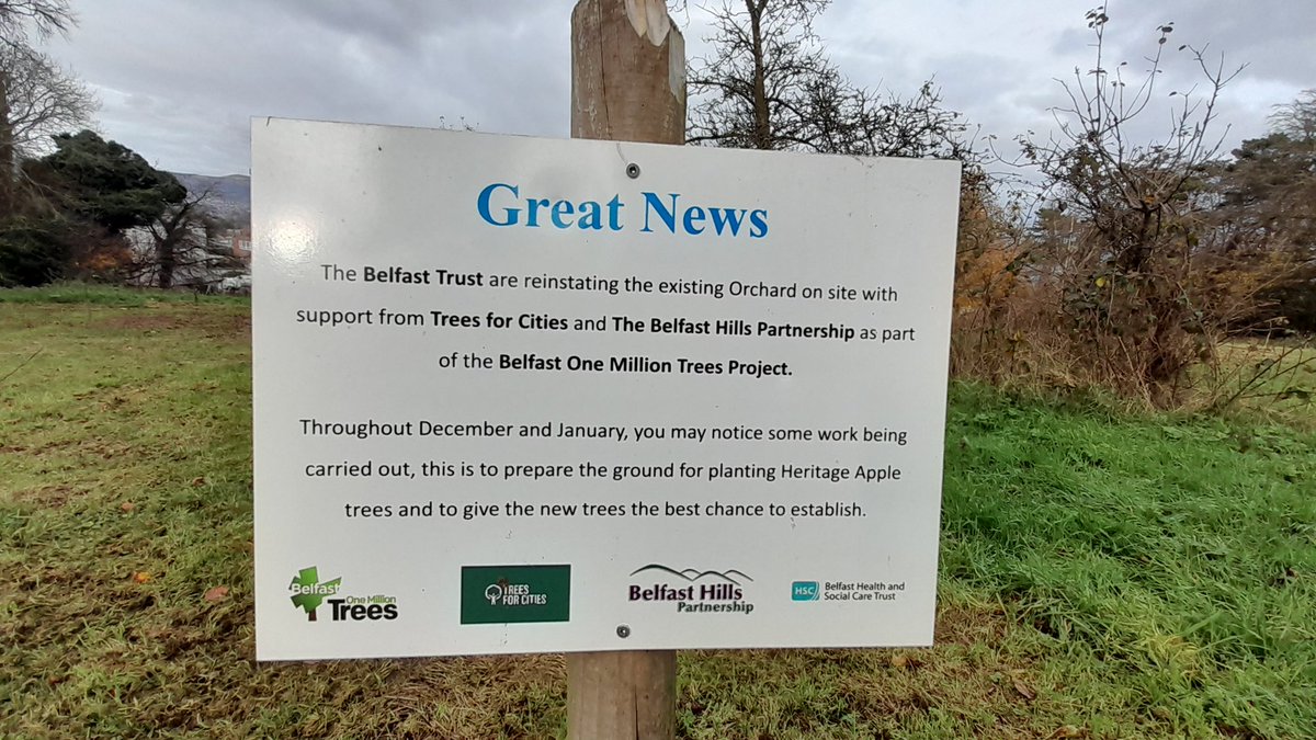 .@belfastcc apple trees planted in Forster Green for #OneMillionTrees have been damaged by a strimmer/mower. Others have died. Same in Knockbracken Healthcare Park. Is there a management plan to replace and maintain trees so they survive to sequest carbon? #NationalTreeWeek