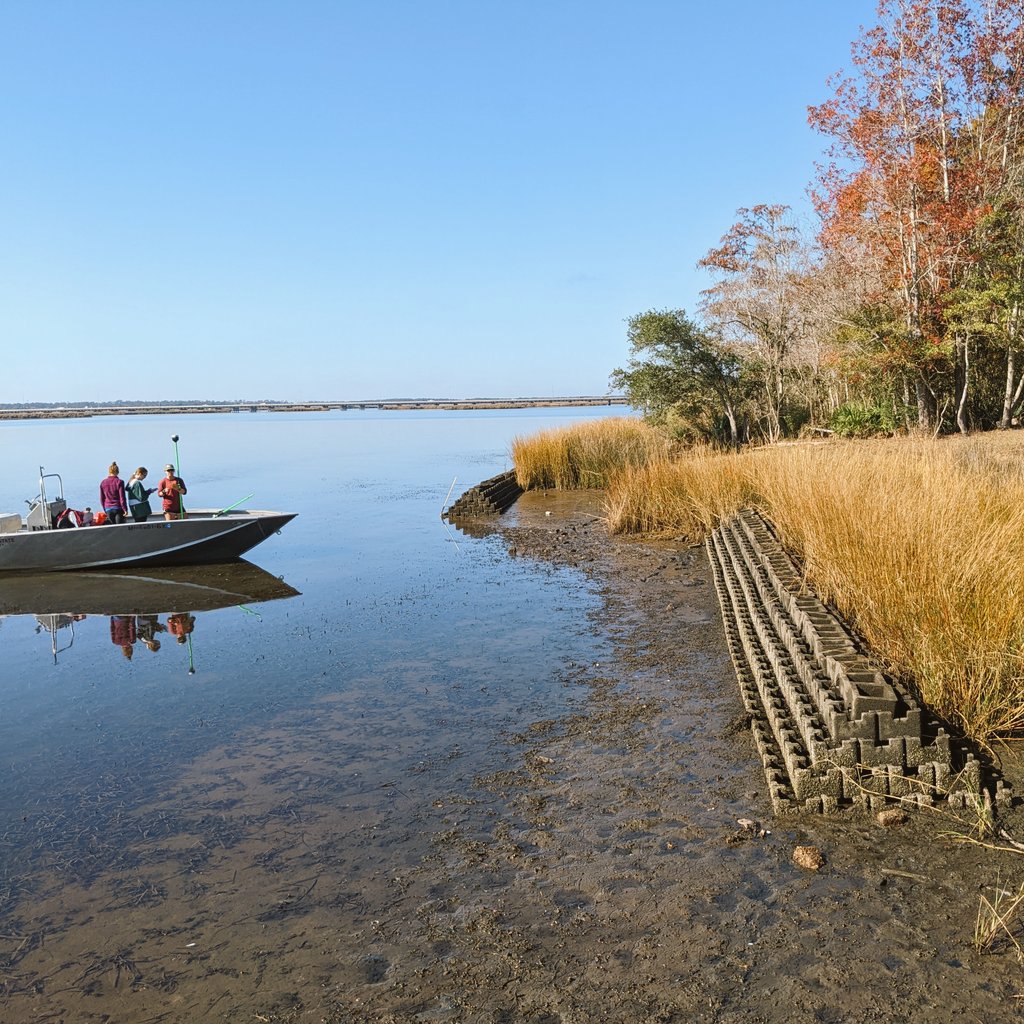 Ella D (She/her) tweet media