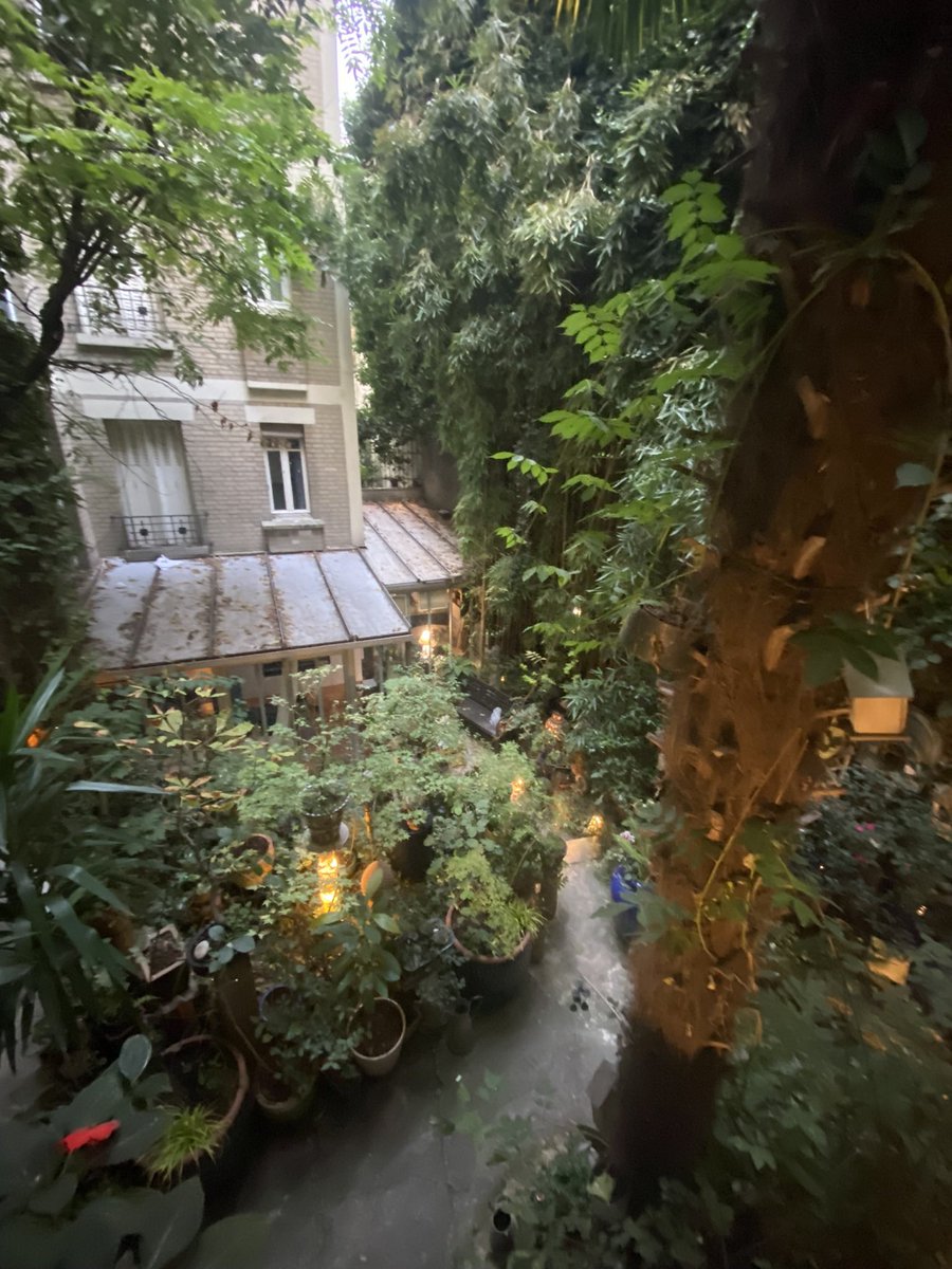 Oasis Verte du 12ème tweet media