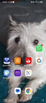 millypod1's tweet photo. PENNY HOME SAFE. THANKS FOR RT's 😊🐕🐾
🆘29 NOV 2022 #Lost PENNY #ScanMe
#Tagged Peny
West Highland White Terrier Female
#Middlesbrough #Thornaby #A19 northbound #A66 exit #StocktonOnTees North Yorkshire #TS17 https://t.co/UB1gkwTlIe https://t.co/qpIijj93Qo
