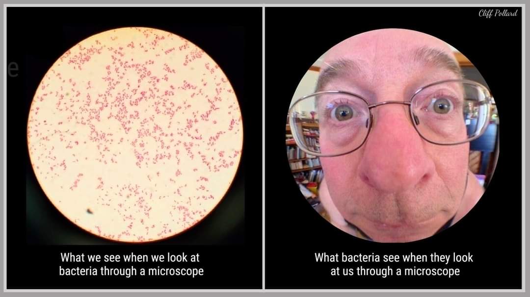 MicroShs's tweet image. 😂