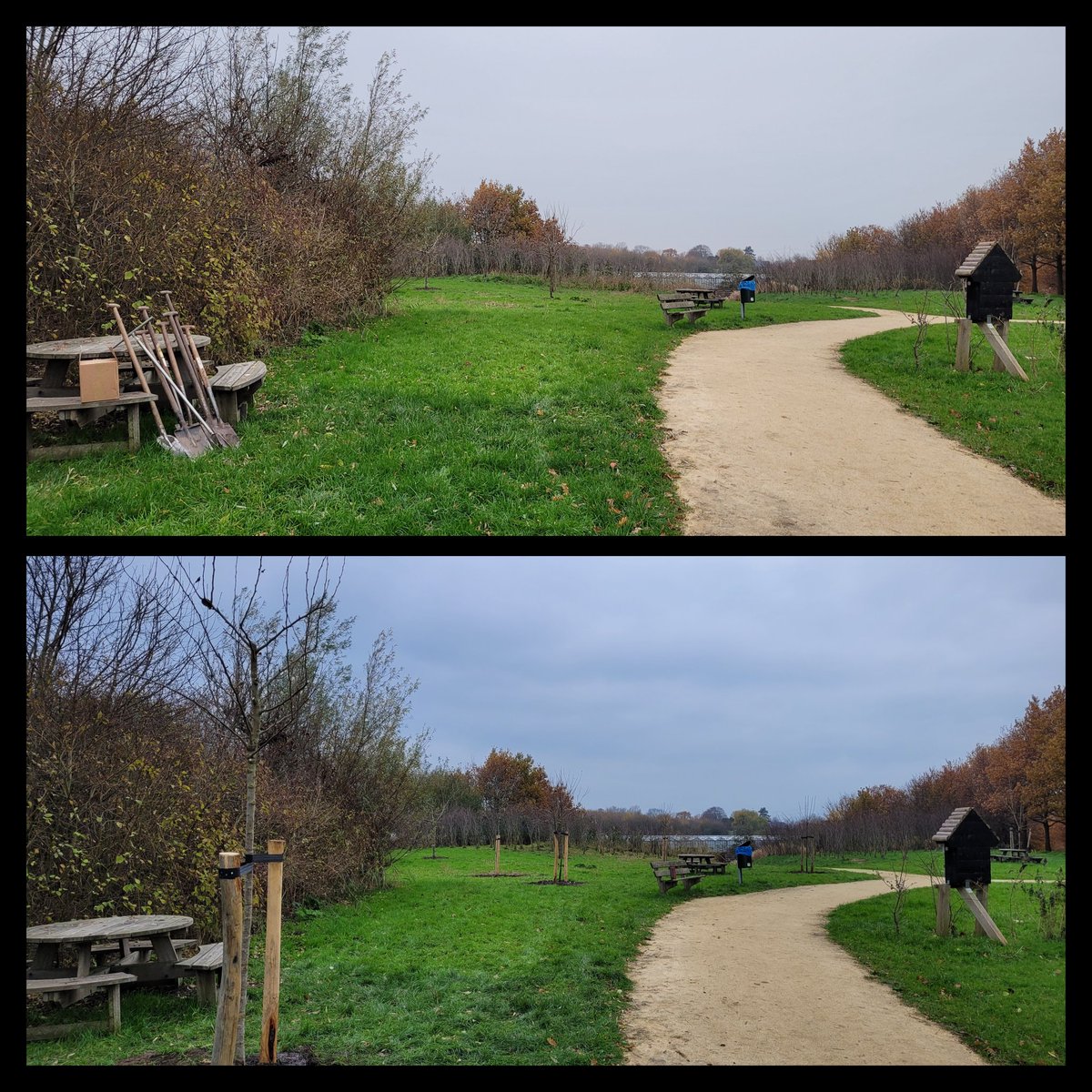 Natuurbelevings's tweet photo. Zoek de verschillen.
#DeBult #NieuweWetering #vrijwilligers #fruitbomen https://t.co/th9VQjMrFZ