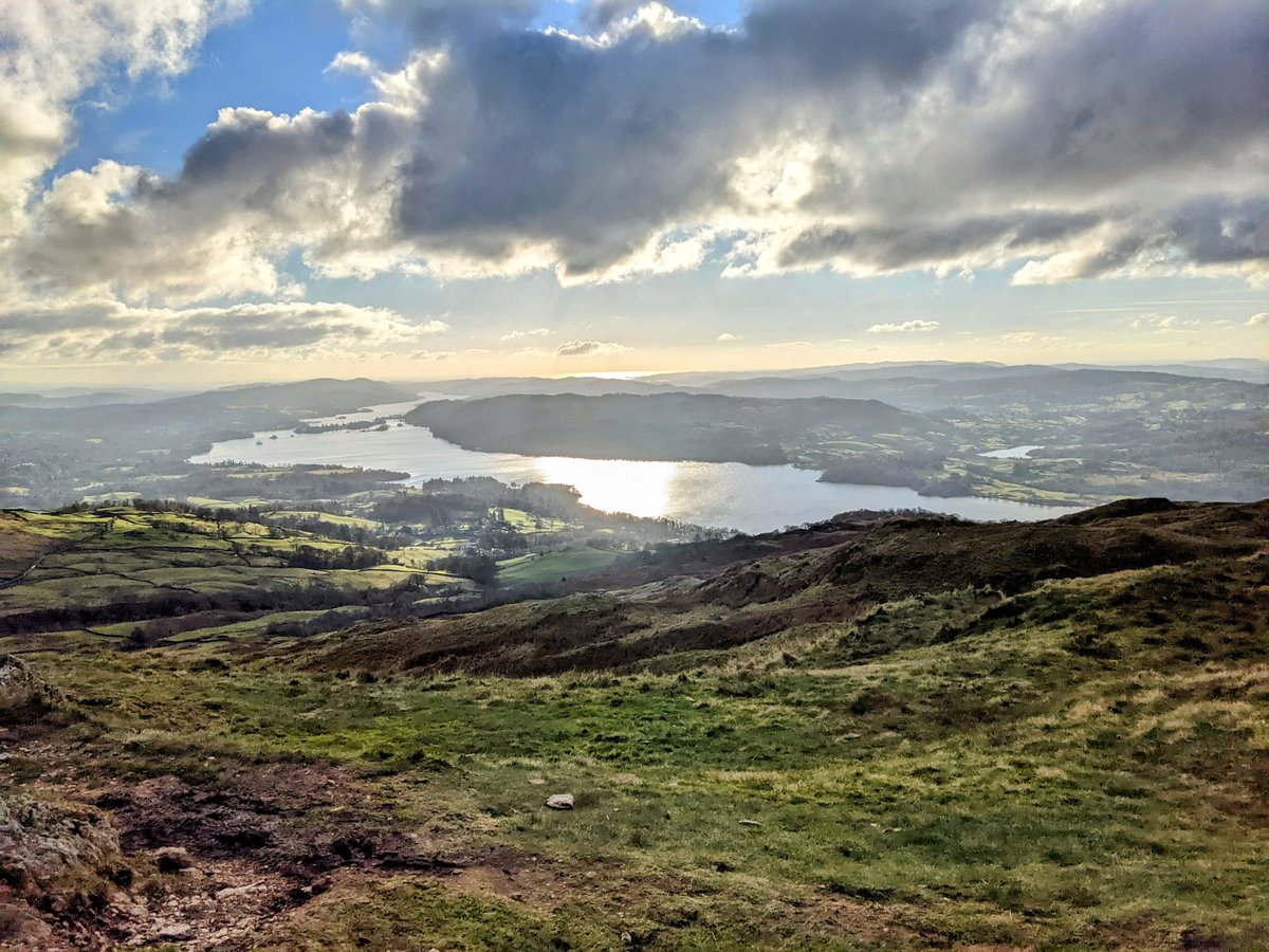 Helen Kay tweet media