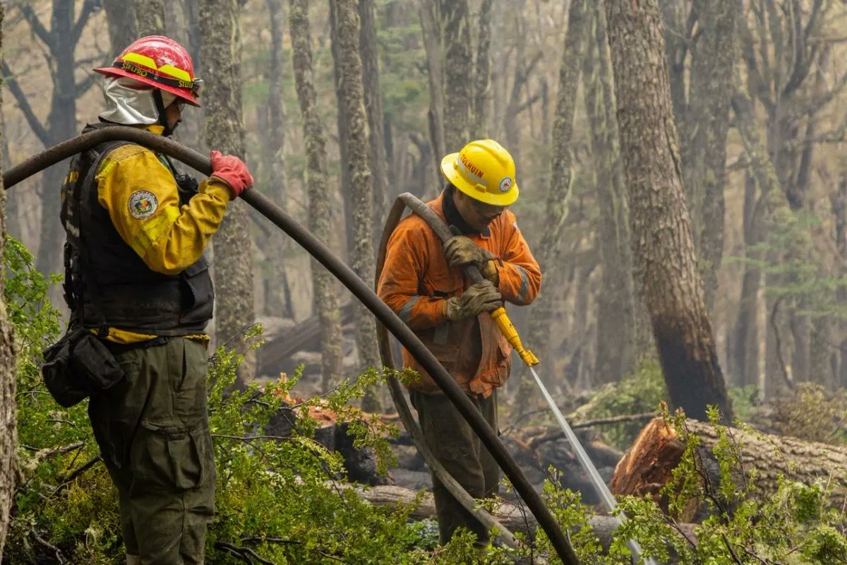 gustavomelella's tweet photo. Trabajamos junto al Ministro de @AmbienteNacion, @juancabandie, para combatir el incendio declarado en el Corazón de la Isla, instrumentando el envío de 40 brigadistas de distintos puntos del país con cinco toneladas de equipamiento, que arribarán mañana domingo a la provincia. https://t.co/oP4ms7ip5l