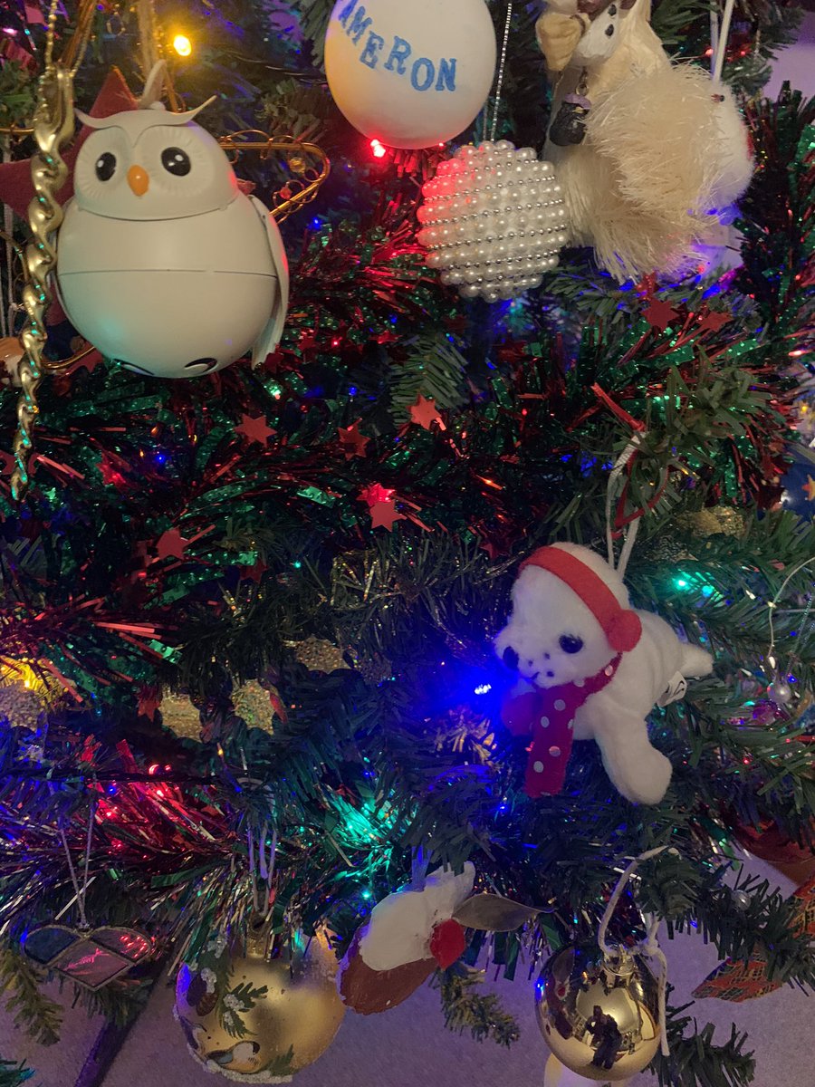 Sarah Abenheimer tweet media