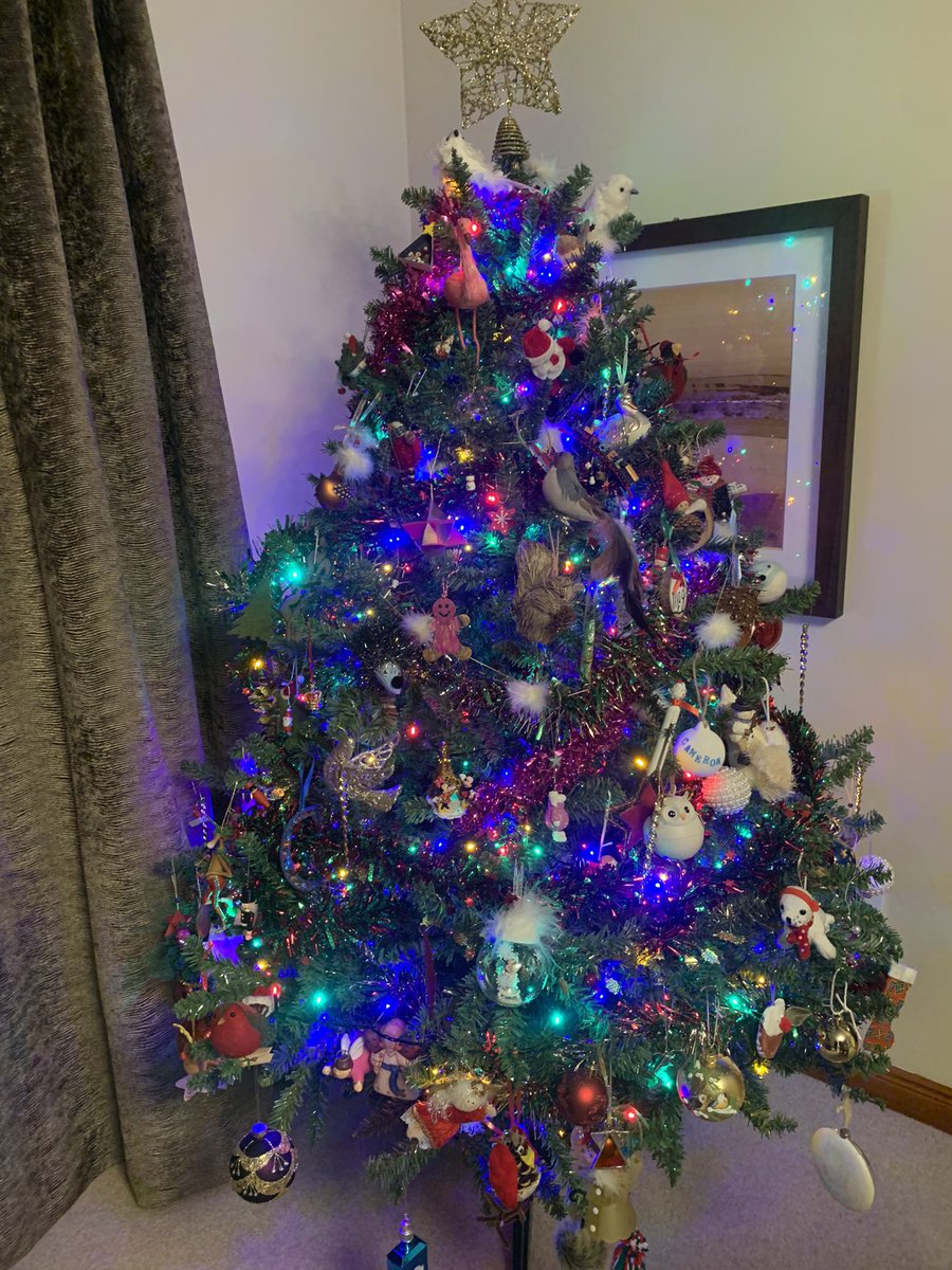 Sarah Abenheimer tweet media