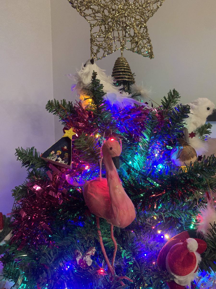 Sarah Abenheimer tweet media