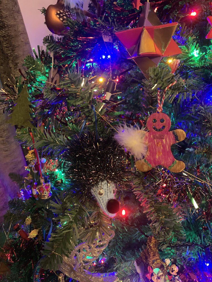 Sarah Abenheimer tweet media