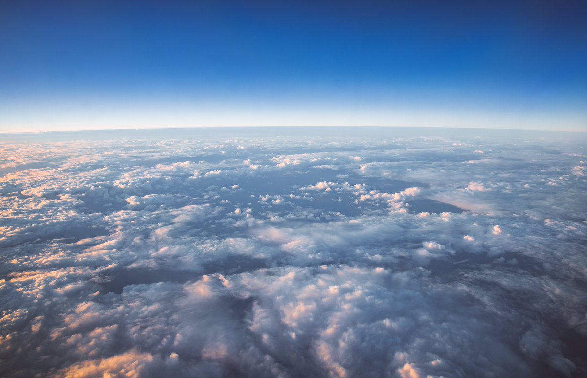 Matty 🇺🇦 tweet media