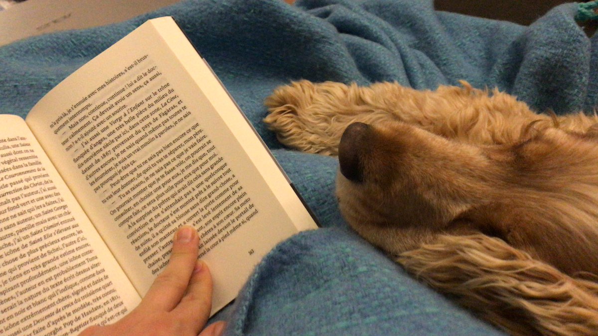 Parmi d’autres choses  qui me rendent heureux dans cette existence fragile, lire un bon livre avec sur mes genoux la tête de mon chien et sa chaleur tendre.
