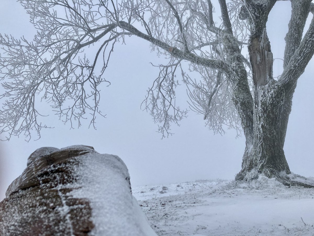 ludek_svoboda's tweet photo. soothing snow winter #Kozakov #trailrunning https://t.co/hXsE300igi