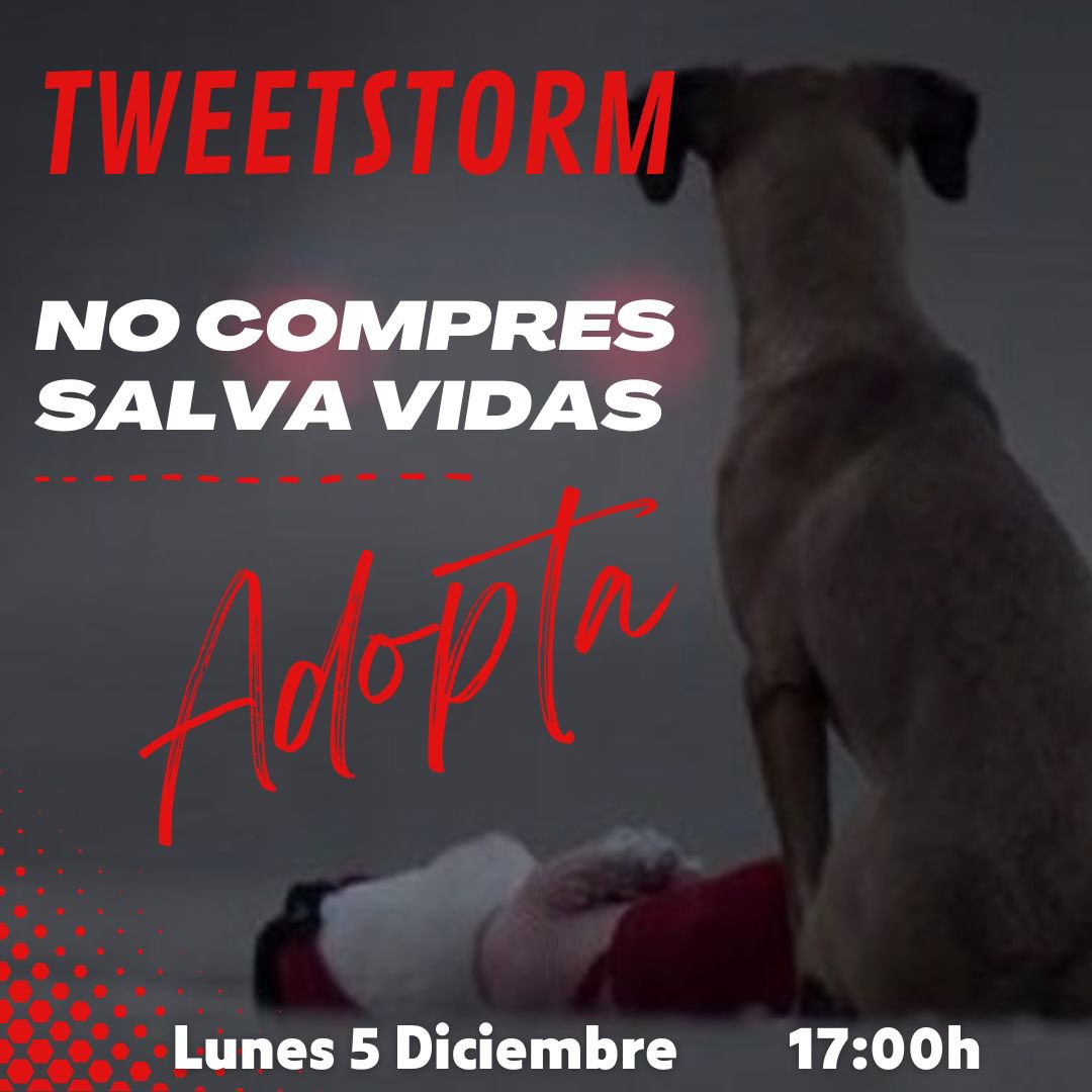 ⚡🐦TWEETSTORM x LA ADOPCIÓN♥️
🎄Cada navidad la venta y compra de animales de compañía crece, siendo después abandonados 💔
🐦⚡TWEETSTORM 
🗓️ 5 DICIEMBRE 
⏰ 17:00h 🇪🇸 
¡ÚNETE! Conciencia sobre el abandono y difunde a algún peludito 🐱🐶 
#️⃣El hashtag se dirá unas horas antes.