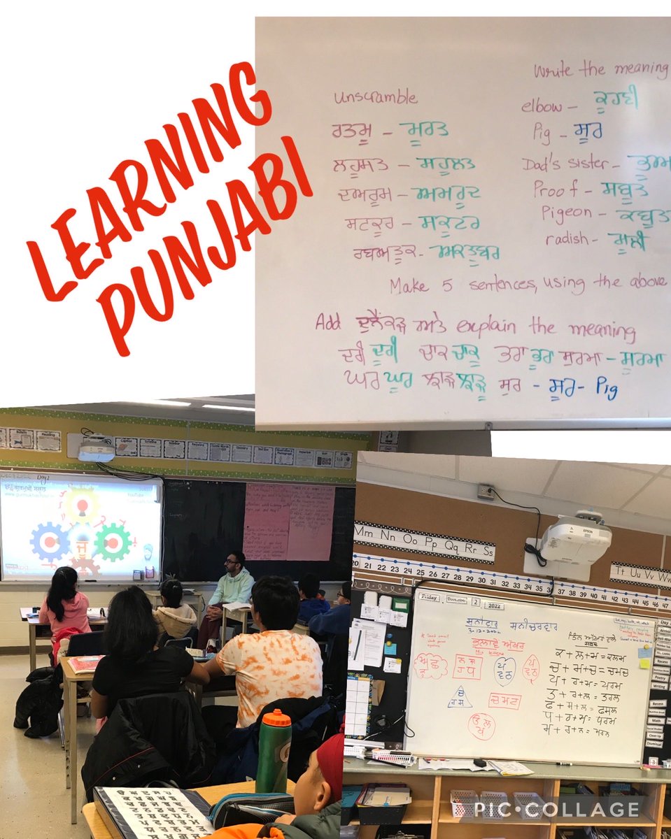 MsKaur_GEDSB's tweet photo. #LearningonSaturday Do you want to learn Urdu, Hindi or Punjabi? Come and join us on Saturdays at Walter Gretzky Elementary School @GELAgranderie @gregcarr77 @mrjallison @Sahibsi60102046 https://t.co/8IFl3d6mHw