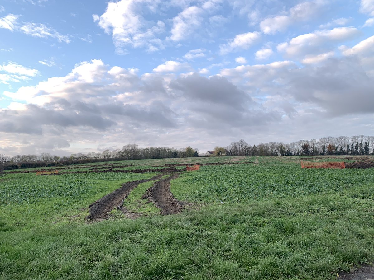 Sorrow sights in Coton today…
✅🌳✅   ❌🚌❌
This is happening on <a href="/cllrbridget/">Cllr Bridget Smith 🔶️</a>’s, @dave4labour’s, and Elisa Menchini’s watch. Supported by “environmentalists” at <a href="/SCLibDems/">South Cambs LibDems 🔶</a>.
The C2C busway is FAR from eco-friendly or sustainable.
Keep buses on the road!