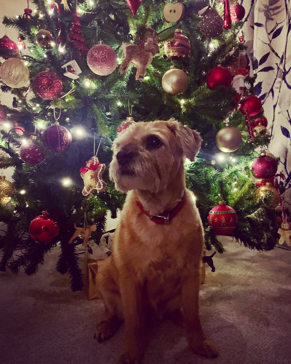 It’s behind me, ain’t it 🎄