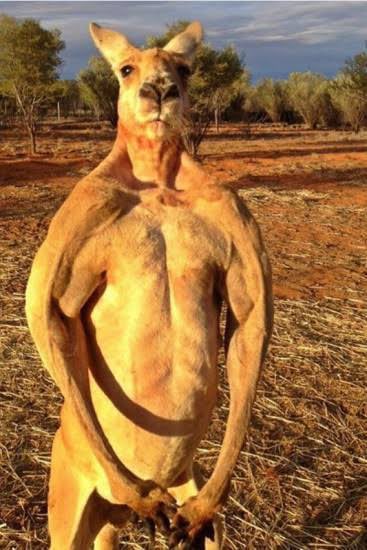 Out Of Context Football tweet media