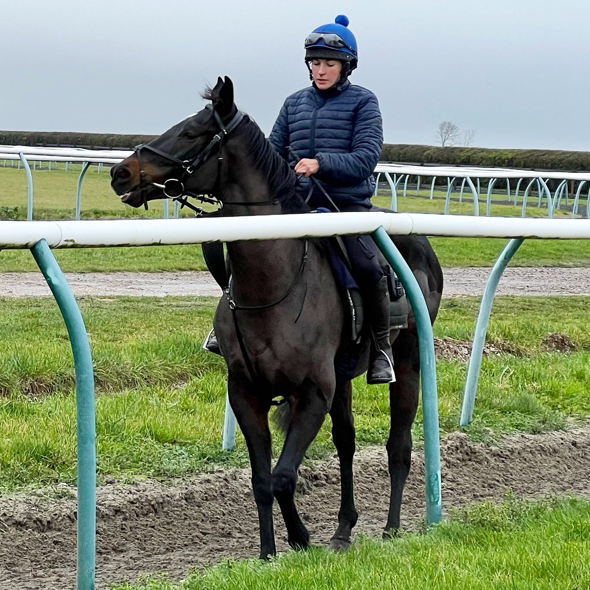 RacingPrinciple's tweet photo. What a great morning welcoming some members of the @StamfordRacing club to Newlands stables. They enjoyed seeing Prophecy on the gallops, lots of bacon sarnies and some special fairy cakes! Hope they all had a fab time! @Hazel_Ell @RitchieFiddes https://t.co/tbgzIiDdY3