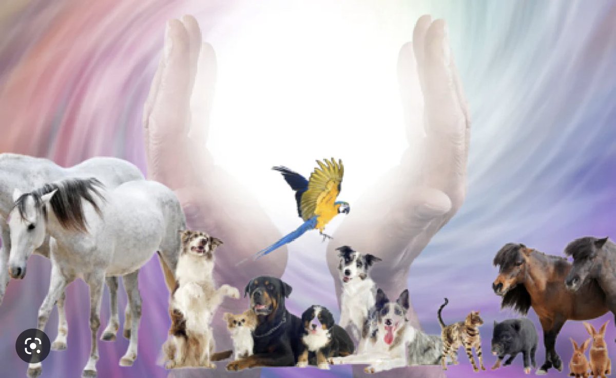 #pawcircle tweet media