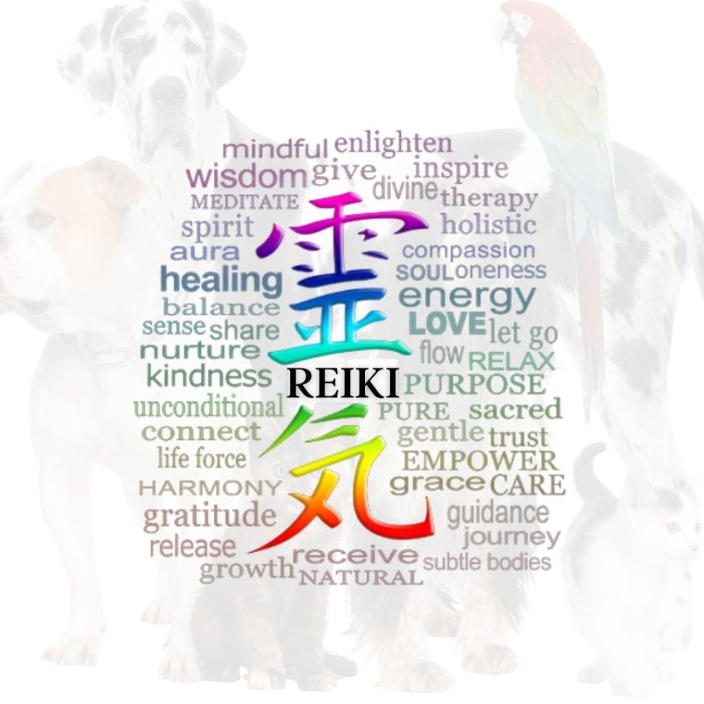 #pawcircle tweet media