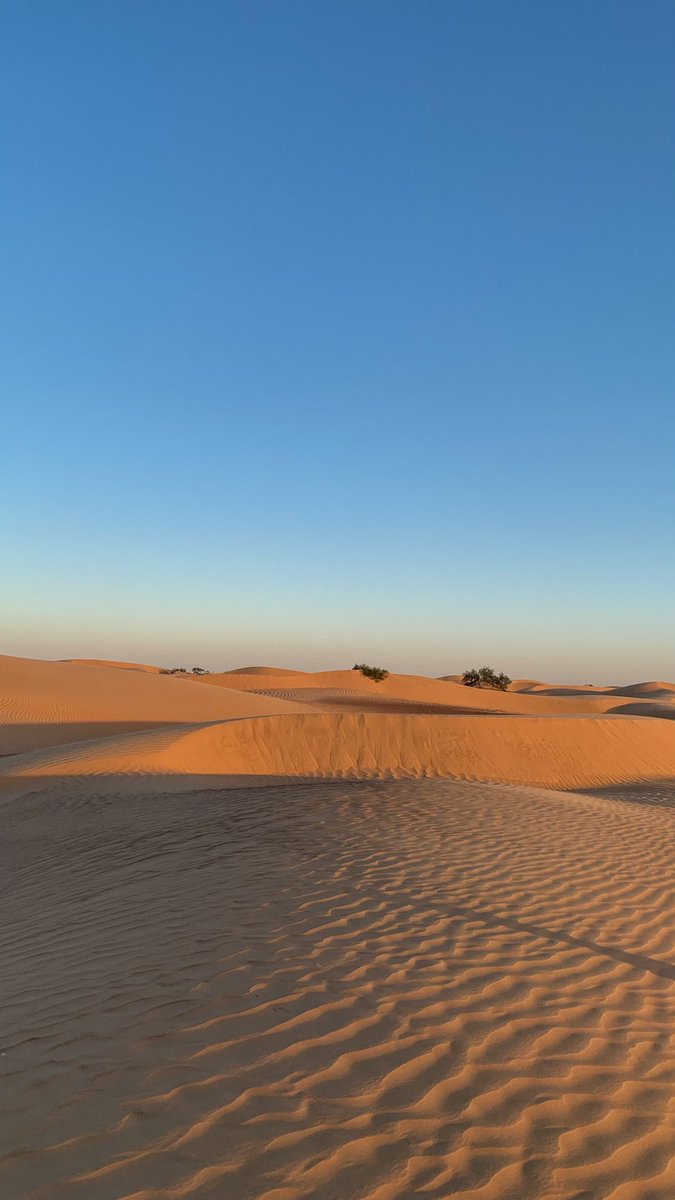 الكامل📍💫.