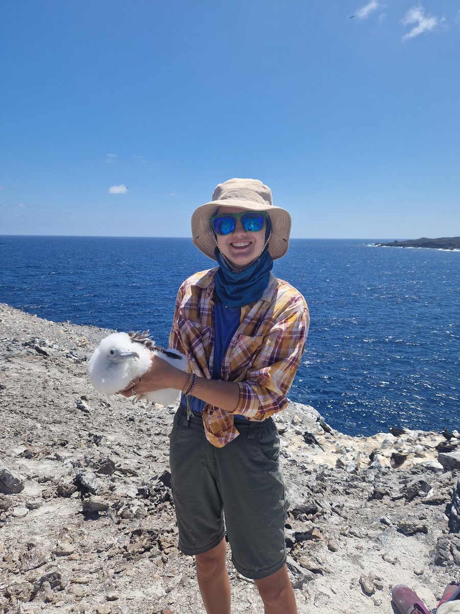 LorraineAnne99's tweet photo. What an incredible month! I've thoroughly enjoyed settling into island life and finding my footing within the conservation department here on Ascension. 🌿🐚🌊 Excited for what the next year holds! Bring on the turtle season! 🐢 https://t.co/pqRSJRCJwx