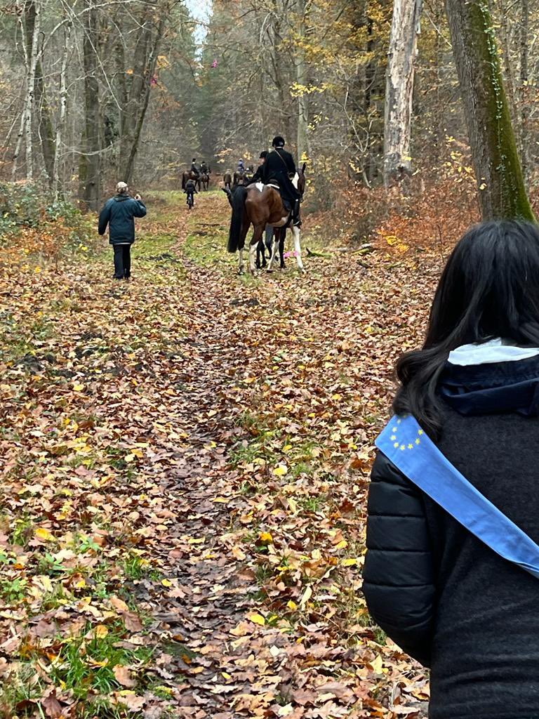 Karima Delli tweet media