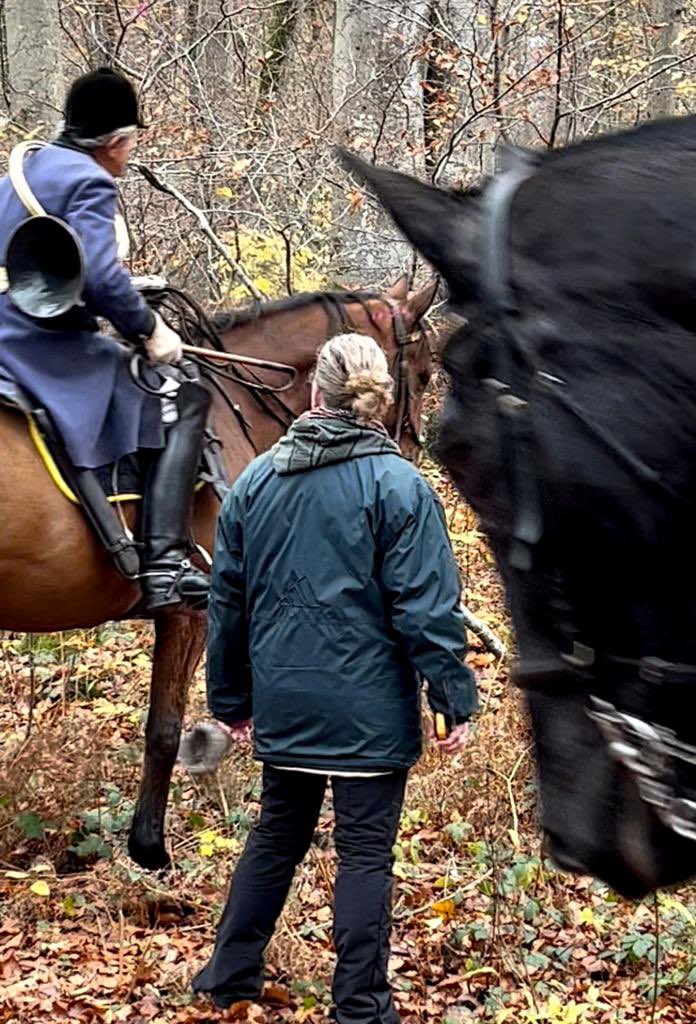 Aujourd’hui à #Compiègne avec les <a href="/EcologistesHDF/">Les Écologistes Hauts-de-France</a>

La chasse à courre c’est la traque d’un seul animal  par une meute de chiens
C’est une chasse cruelle,qui fait de la mise à mort un plaisir par des gens déguisés en aristocrates!

🛑 Stop à la #ChasseÀcourre 
Merci  @AvaFranceOff