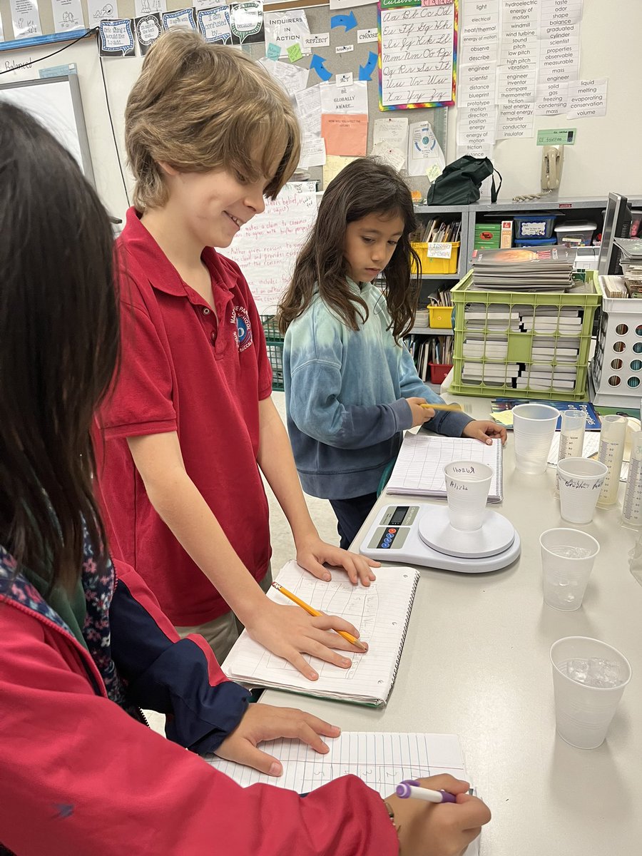 Leila Kanzer tweet media