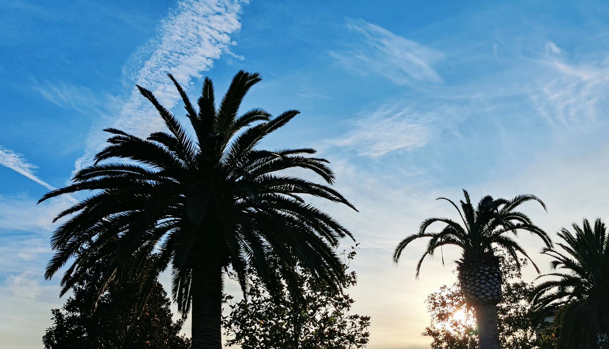 Good Saturday Morning ☕🌅

First time in a week I feel like myself. Take care out there if you start to feel sick.